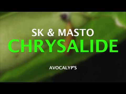 Avocalyp's   Chrysalide  N'OSIF