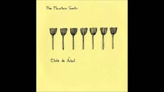 Night of the Mules by the Mountain Goats