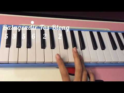 Lagu daerah (Tokecang) - Pianika
