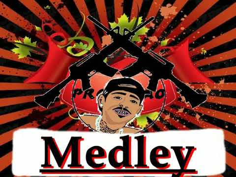 MEDLEY PROIBIDÃO - MC SANDRO TELLES