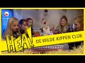 HEA! De Wilde kippen club