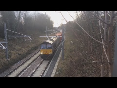 Direct Rail Services 66431 @ Blackhorse Road working 4L48 Tesco Express 12/02/18