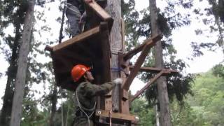 preview picture of video 'Forest adventure park building (7) - extention 1'