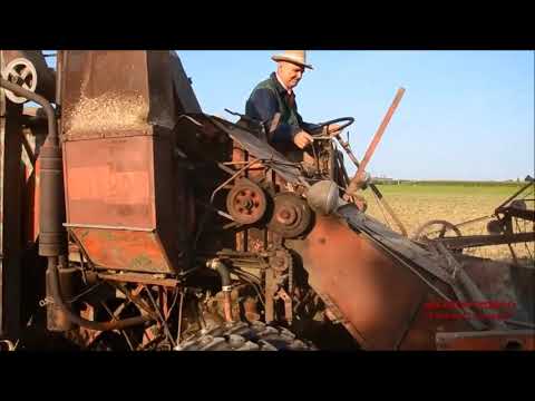 TUNONNA  - L'ORTOLANO-Esperimento di hit pop rurale