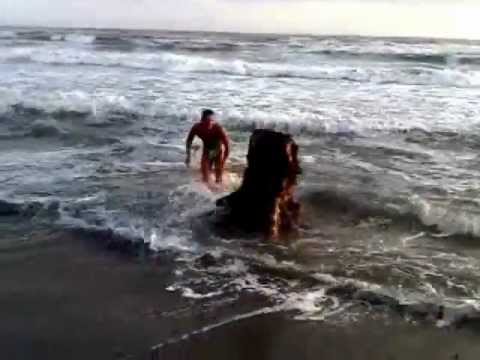 Cazzate varie divertenti video pazzi da ridere stranezze compilation funny world