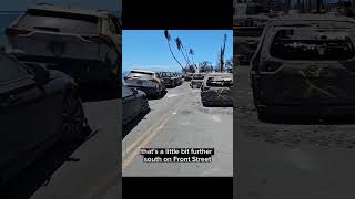 More Examples of Blue Things Not Burning in Maui