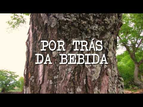 Por Trás Da Bebida - Grupo Carqueja