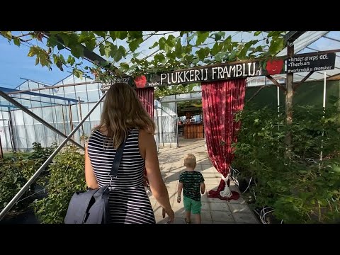 Kweek van de Streek (WOS): Framblij