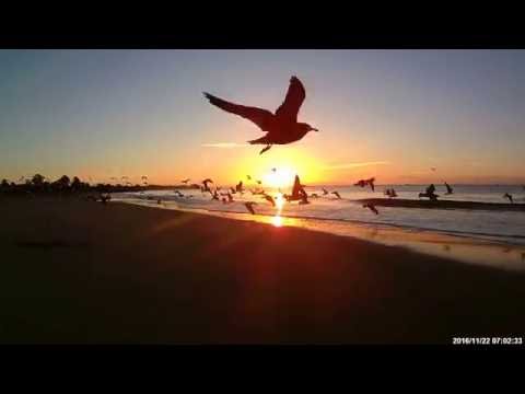 Santa Cruz Sunrise 11-22-2016