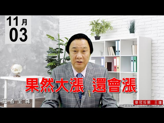 20201103《果然大漲 還會漲》電子正規軍出門，這是非常健康走勢。這波被動是回升波、不是反彈波。上看1××××點。#王曈 #王者至尊