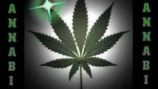 raggasonic légalisez la ganja