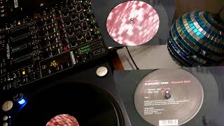 Subsonic Park - Second Skin 122/Bpm - Vinyl