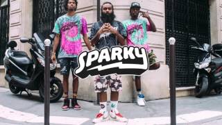 Flatbush Zombies - MRAZ