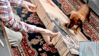 Electro Rock Original music - Mystery Unboxing and Cute Dog!