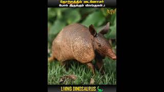 Download lagu LIVING DINOSAURS || IN TAMIL || MIC LA SOLLU mp3