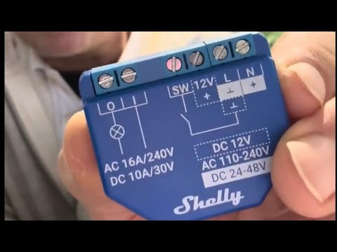 Shelly 1 Plus WiFi Switch Installation & Setup