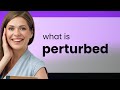 Perturbed | PERTURBED meaning