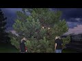 xXXi_wud_nvrstøp_ÜXXx by 100 gecs