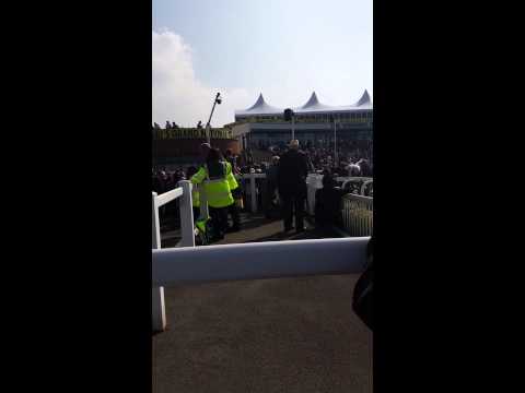 Silviniaco Conti entering the winners enclosure 2015 Betfred Bowl
