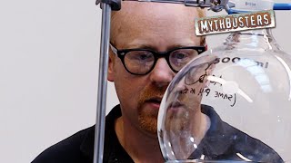 Can Octopus Eggs Hatch in a Human Stomach | MythBusters