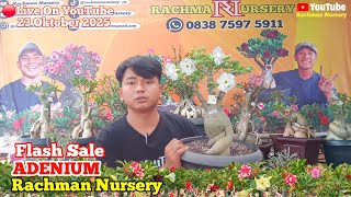 Download lagu 🔴Live Flash Sale Adenium Bunga Tumpuk dan Karakter (24 Oktober 2025) #rachmannursery #adenium mp3