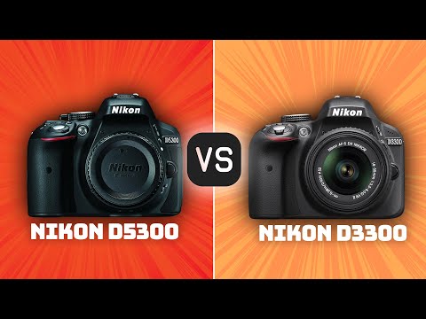 Nikon D5300 vs Nikon D3300: Which Camera Is Better? (With Ratings & Sample Footage)