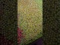 Glass Marbles Balls