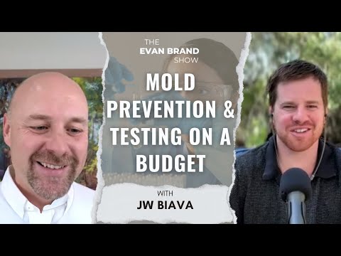 Mold Prevention & Testing on a Budget