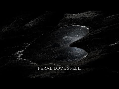 ╭ ⚠️ APHRODITE'S SPELL ༒︎ A LOVE THEY CAN'T ESCAPE (1X) ╮