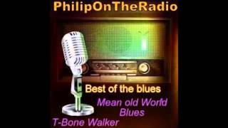 Mean Old World Blues   T Bone Walker