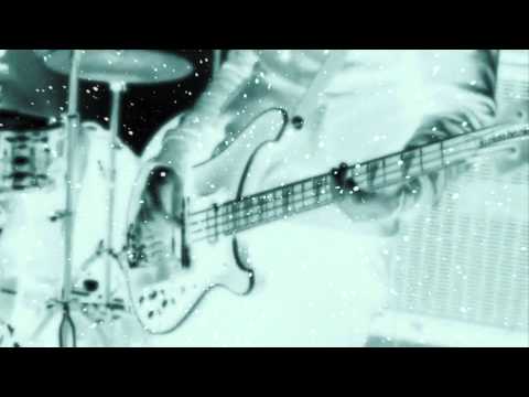 solitary ZEBRA "Sensual"