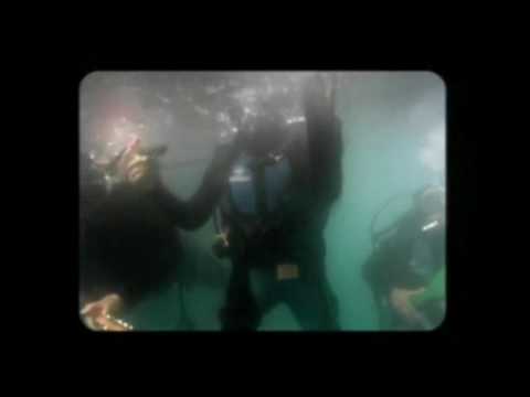 PopArt Discos and Los Tipitos YouTube