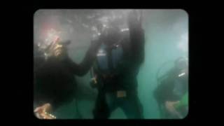 Video Algo de Los Tipitos