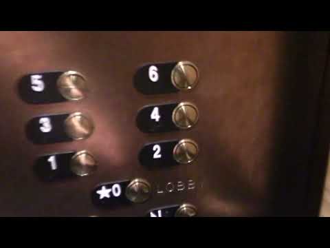 ThyssenKrupp Traction D3 Elevators - Opryland Resort, Nashville TN