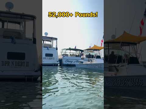 They’re In A Different Tax Bracket… #boat #ad #taylormadepartner @Lippert.