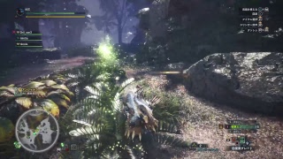 【MHW】RiPメンバーで狩ってみた　＃2