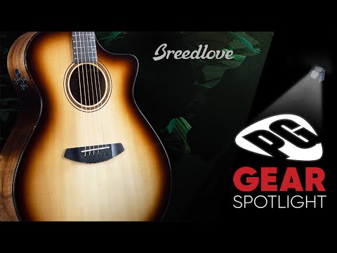 Breedlove Organic Pro Artista - Gear Spotlight