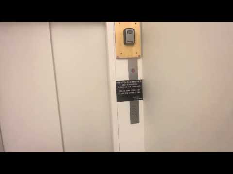 Restricted scenic Schindler Haughton hydraulic elevator, Lokers shoes, Holland Michigan.￼