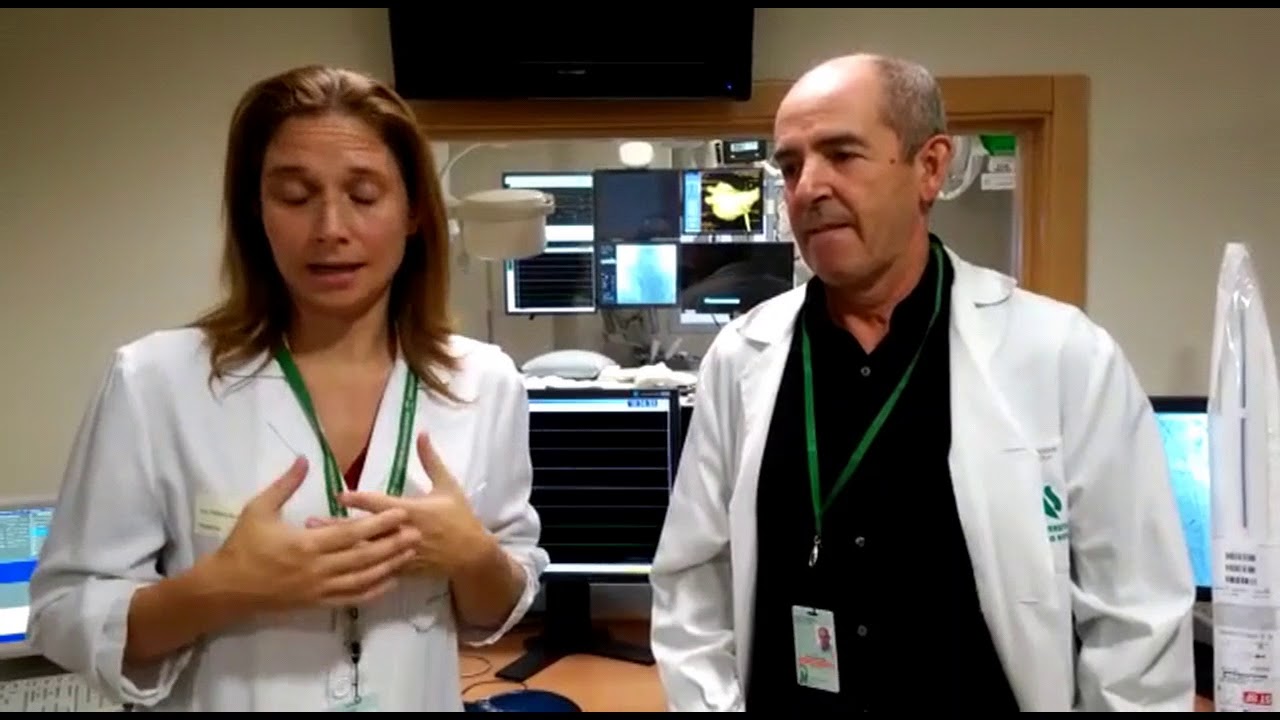 Luis Tercedor Sánchez-13