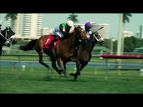 Gulfstream Park welcomes back fans for Pegasus World Cup