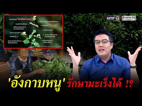 เพิ่มขึ้นอัณฑะแรง ความอ่อนแอรักษาได้ถ้า
