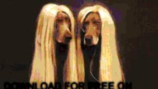 nelson - Cross My Broken Heart - Because They Can