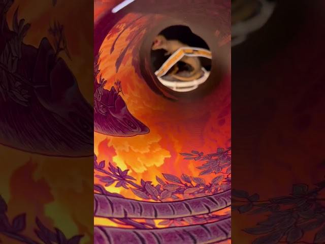 Vídeo relacionado con Grupo Erik Póster Jurassic Park - Lamina decorativa Jurassic Park/Póster Producto con licencia oficial