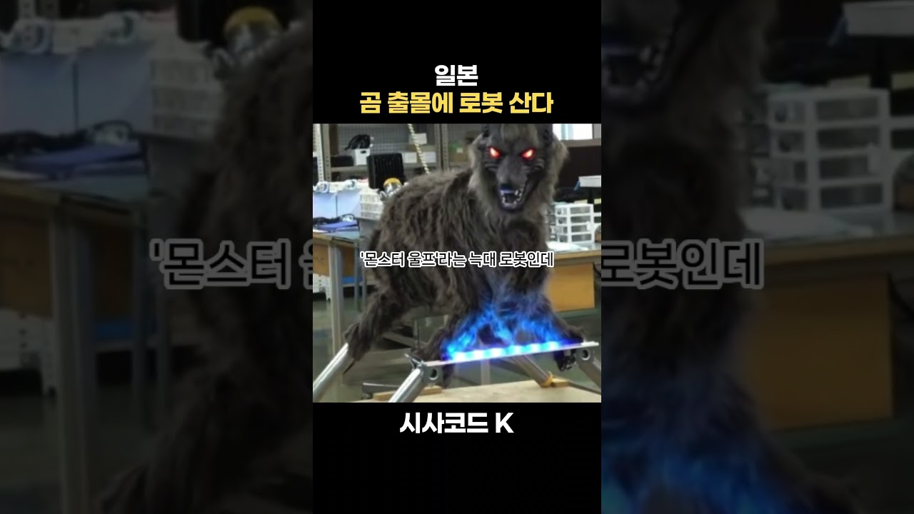일본, 곰 출몰에 로봇 산다