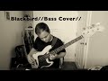 Blackbird // Jaco Pastorius // bass cover