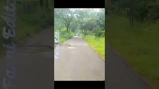 Download lagu Cintaku Selalu Ada Untukmu || Yelse |Versi Balapulang Kalibanteng Kab. Tegal Jateng (Jawa Tengah) mp3