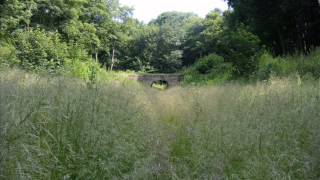 May you find some comfort here