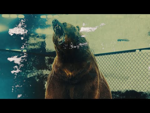 Cambatta - Battamedov (Prod. By Nick Price)