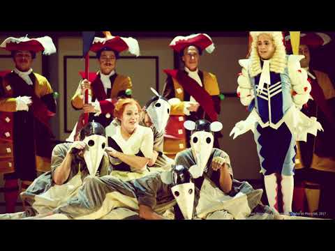 Julie Boulianne, Bleuet étoilé