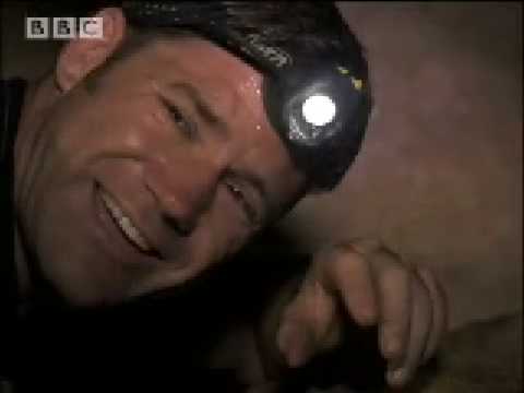Thumbnail of the video: In Search of Snakes - Expedition Borneo - BBC wildlife